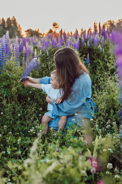 抱着孩子坐在膝盖上的女人，周围是紫色的花
